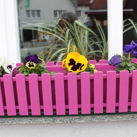 Fewo Alte Post Oberdigisheim Exterior photo